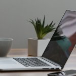 Ollama czy LM Studio dla początkującego – różnice i wybór bez przepłacania