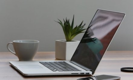 Ollama czy LM Studio dla początkującego – różnice i wybór bez przepłacania
